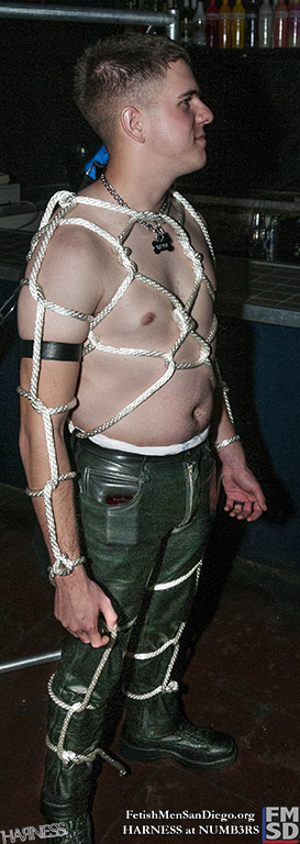 FMSD - HARNESS - DSC_0266.jpg